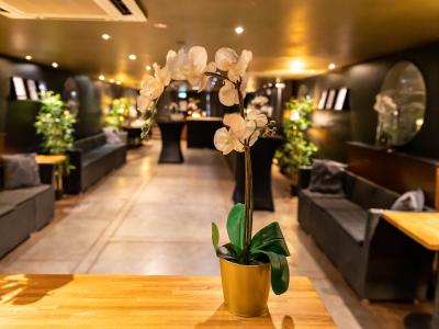 ill vino privatisation péniche cale bar 