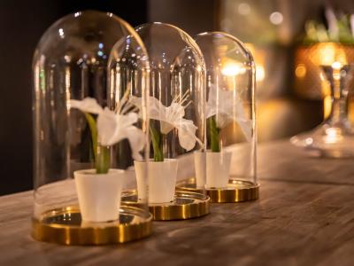 ill vino privatisation péniche cale bar 